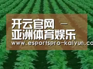 种植基地六