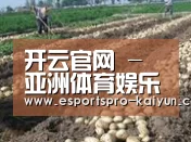 种植基地八