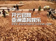 种植基地二