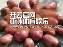 产品展示标题5