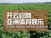 种植基地五