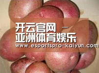 产品展示标题1