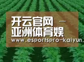 种植基地六(图1)
