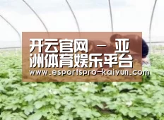 种植基地三