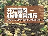 种植基地八(图1)