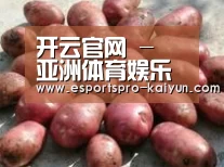 产品展示标题5(图1)