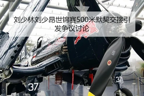 刘少林刘少昂世锦赛500米默契交接引发争议讨论
