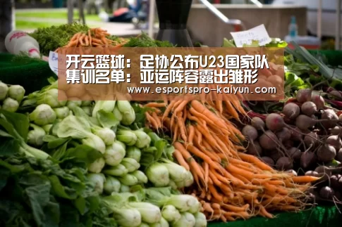 开云体育