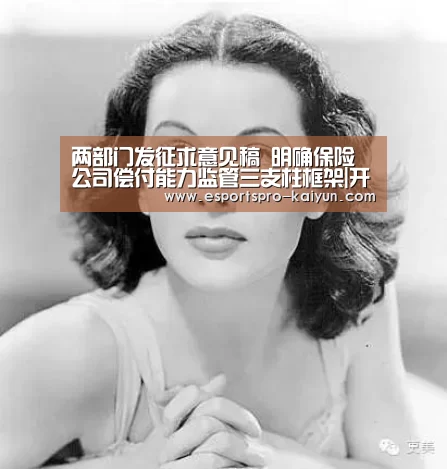 开云篮球