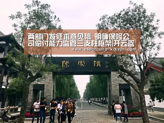 开云赛事