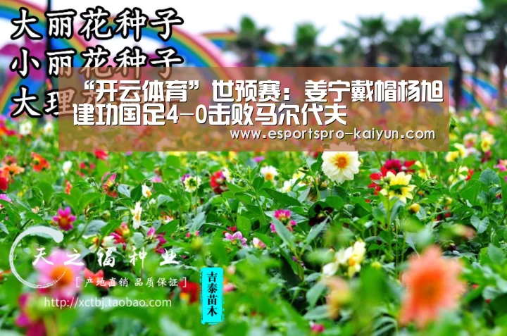 开云足球