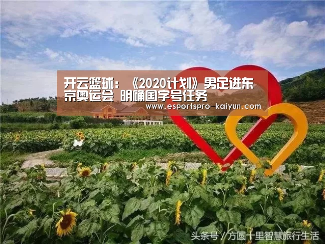 开云篮球