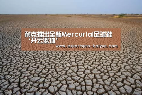 开云体育